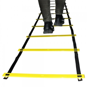 6m Ladder